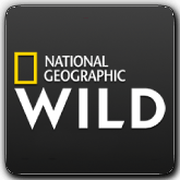 Nat Geo Wild RO