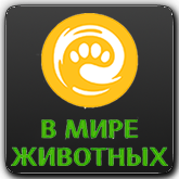 В мире животных HD